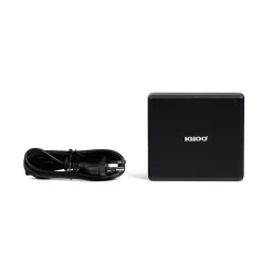 Igloo Adaptateur 230V vers 12V avec câble détachable 230V noir compact
