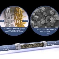 Swiss Aqua Technologies Adoucisseur D'Eau-Adoucisseur d'eau Anticalcaire Antibacterien innovant IPS Kalyxx Active G3/4 " femelle (IPSKXAG34)