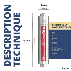 Swiss Aqua Technologies Adoucisseur D'Eau-Adoucisseur d'eau Anticalcaire innovant IPS Kalyxx RedLine G1 " femelle (IPSKXRG1)