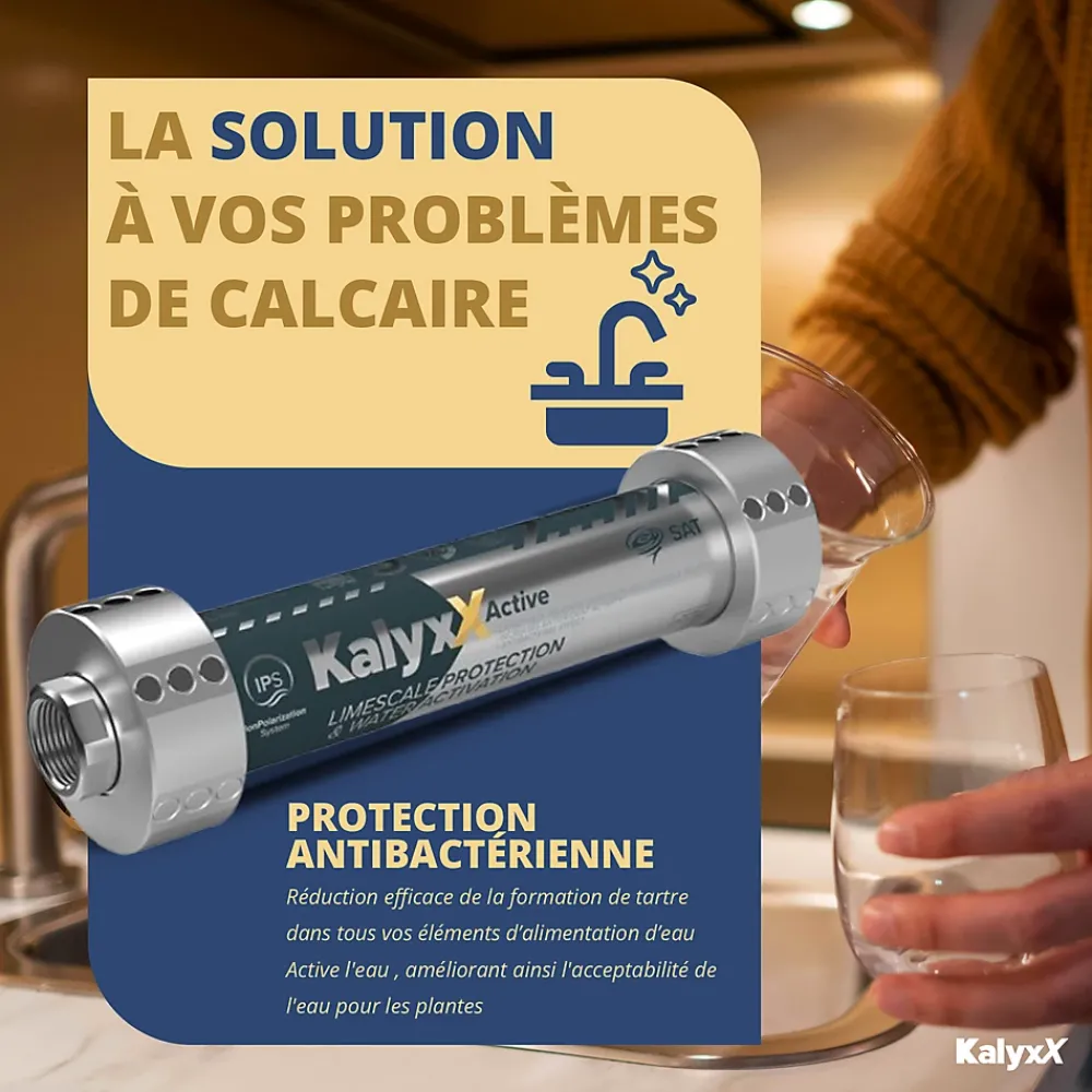 Swiss Aqua Technologies Adoucisseur D'Eau-Adoucisseur d'eau Anticalcaire Antibacterien innovant IPS Kalyxx Active G1/2 " femelle (IPSKXAG12)