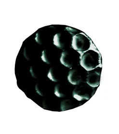 Secodir ALVEOLE - Clous Tapissier Décoratifs - Lot de 100