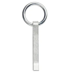 Diall Anneau d'écurie à sceller ø10 x l. 110 mm