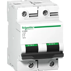 Schneider Electric A9n18459 Schneider C120h Disjoncteur Bipolaire Schneider 125 A - 2p - Courbe C - 15ka - à Vis