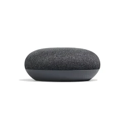 Google Assistant vocal mini anthracite