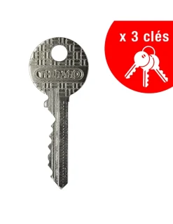 Thirard Serrure De Meuble|Serrure De Meuble-Batteuse BAL, compatible avec la distribution postale, épaisseur maxi 1,2mm, 2 cames, 2 clés -