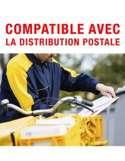 Thirard Serrure De Meuble|Serrure De Meuble-Batteuse BAL, compatible avec la distribution postale, épaisseur maxi 1,2mm, 2 cames, 2 clés -