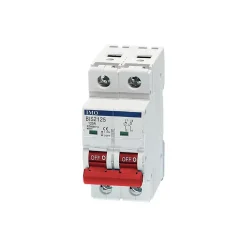 Imo Disjoncteur Et Coupe-Circuit-Bis2063a Interrupteur Sectionneur 63a Bipolaire 2 Pôles - 2 Modules -