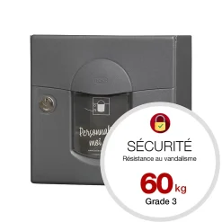Renz Boîte Aux Lettres 1 Porte-Boite aux lettres Soléa compact Gris anthracite aspect sablé REN 0206MS