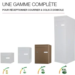 Renz Boite à colis Atout 1 porte Taupe brillant RAL 7006 B