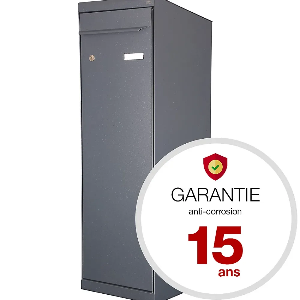 Renz Boite à colis Twin XL Gris anthracite 7016