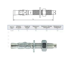 Lem Select Boite de 200 Goujons d'ancrage métallique M.6x45mm