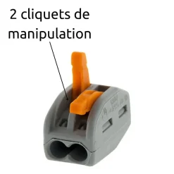Wago Borne rapide automatique à cliquet S222 - 2 entrées -