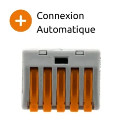 Wago Borne rapide automatique à cliquet S222 - 5 entrées -