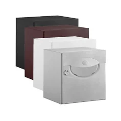 DAD Boîte aux lettres demi profondeur Decayeux Iguane Gris silver