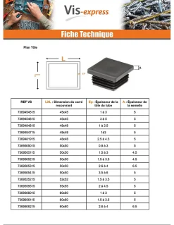 Vis Express Cache Vis Et Cache Trou-Bouchon carré 30X30 épaisseur tole du tube 1.2 A2.25 Polyethylène noir - 30 pièces