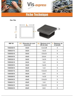 Vis Express Cache Vis Et Cache Trou-Bouchon carré 16X16 épaisseur tole du tube 1 à 2.5 Polyethylène noir - 1 pièce