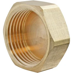 Somatherm for you Bouchon laiton Femelle 8/13 (1/4"), lot de 2