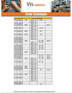 Vis Express Cache Vis Et Cache Trou-Bouchon Lisse 25X32 LG13 Nylon RAL1020 - 30 pièces