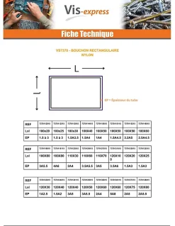 Vis Express Cache Vis Et Cache Trou-Bouchon rectangle pour tube 150X50 épaisseur tole du tube 2 à 4 nylon noir - 30 pièces