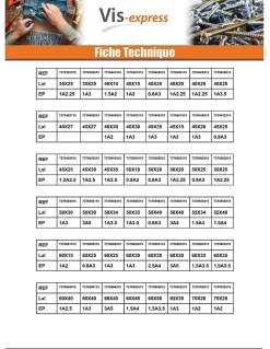 Vis Express Cache Vis Et Cache Trou-Bouchon rectangle pour tube 150X50 épaisseur tole du tube 2 à 4 nylon noir - 30 pièces