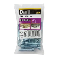 Diall Boulon-20 boulons tête cylindrique acier zingué 6 x 30 mm