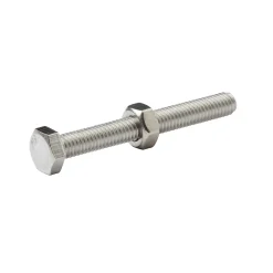 Diall Boulon-10 boulons tête héxagonale inox 6 x 50 mm