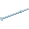 Diall 10 boulons tête héxagonale zingué 6 x 100 mm
