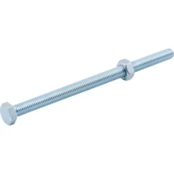 Diall 10 boulons tête héxagonale zingué 6 x 100 mm