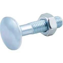 Diall 10 boulons tête ronde collet carré 6 x 30 mm