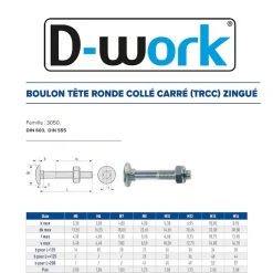 D-Work 100 Boulons Tête Ronde Collet Carré TRCC 7 x 100 mm - DIN 603 - Zingué blanc -