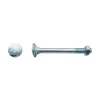 D-Work 100 Boulons Tête Ronde Collet Carré TRCC 10 x 25 mm - DIN 603 - Zingué blanc -