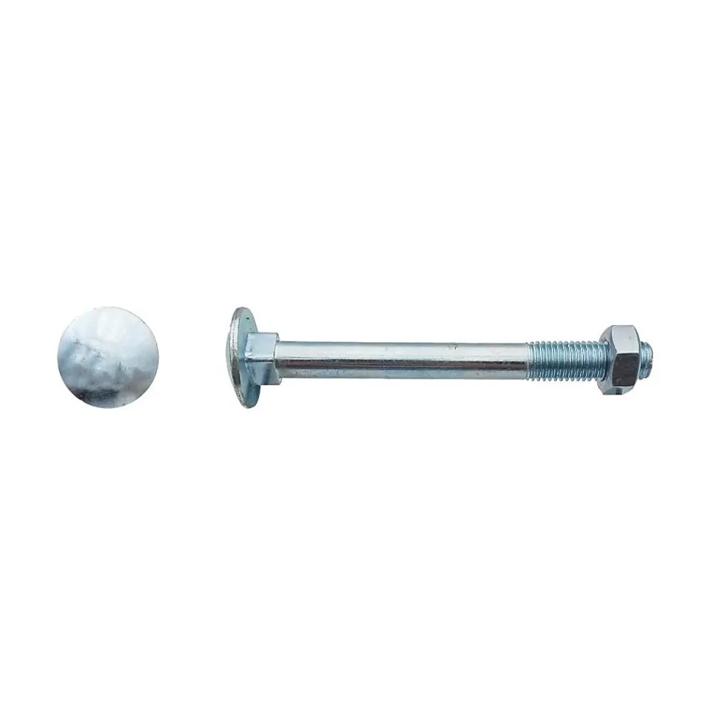 D-Work 50 Boulons Tête Ronde Collet Carré TRCC 8 x 120 mm - DIN 603 - Zingué blanc -