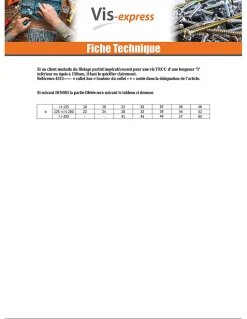 Vis Express Boulon (vendu avec Ecrou) TRCC JAPY tête ronde collet carré M6X60 Filetage total Acier zingué - 30 pièces
