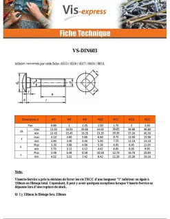 Vis Express Boulon (vendu avec Ecrou) TRCC JAPY tête ronde collet carré M6X60 Filetage total Acier zingué - 30 pièces