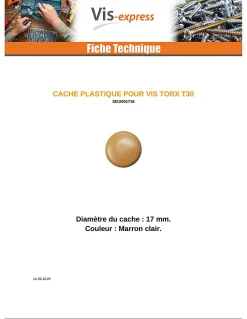 Vis Express Cache vis TORX TORX T30 Diamètre de tête: 17 Nylon Marron CLAI - 1000 pièces