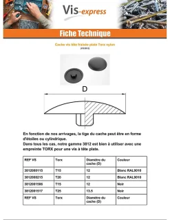 Vis Express Cache vis Tête fraisée TORX TORX T25 Diamètre de tête: 13.5 nylon blanc - 100 pièces