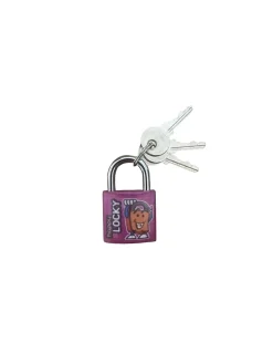 Serruprix Cadenas BASIC à clé, base 30 mm, anse acier, 2 clés -
