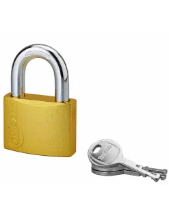 Thirard Cadenas, Antivol-Cadenas à clé Colorful, laiton, intérieur, anse acier, 50mm, 3 clés -