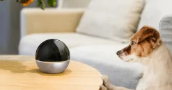 Ezviz Caméra de surveillance intérieure rotative C6W