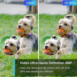 TP-Link Caméra De Surveillance-Caméra de vidéosurveillance extérieure connectée Tapo C320WS 2K HD