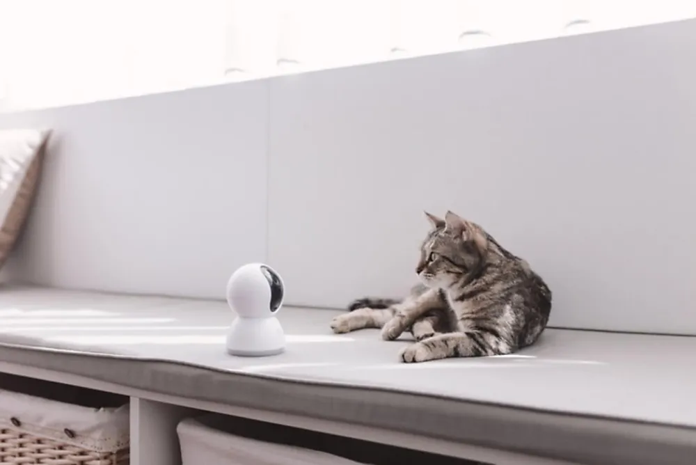 Xiaomi Caméra de vidéosurveillance rotative 360° 1080P Mi