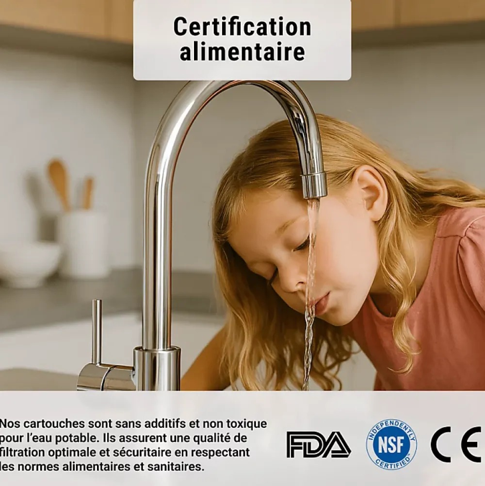 Sinea Cartouche anti calcaire polyphosphate 9'' 3/4