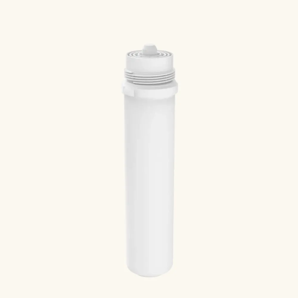 Schütte Cartouche Filtrante BWT pour mitigeur filtrant AQUASTAR Pro