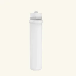 Schütte Cartouche Filtrante BWT pour mitigeur filtrant AQUASTAR Pro