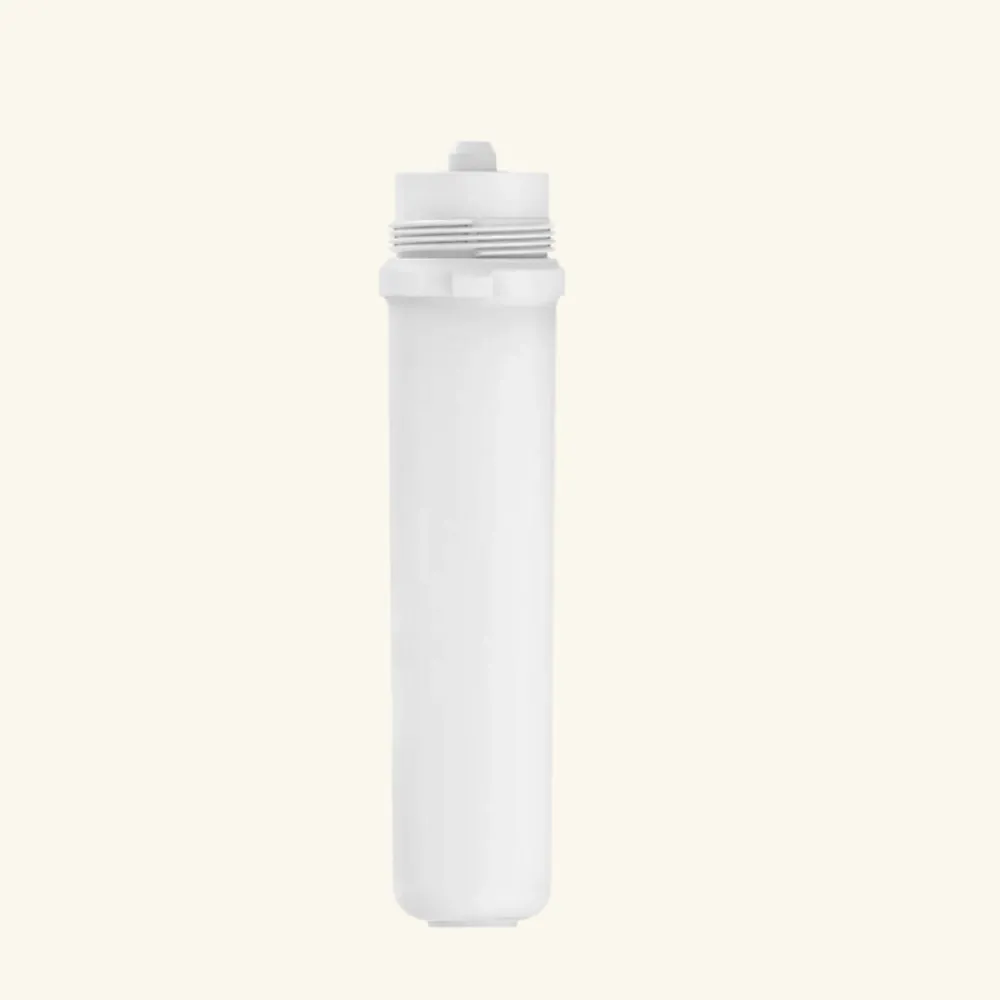 Schütte Cartouche Filtrante BWT pour mitigeur filtrant AQUASTAR Pro