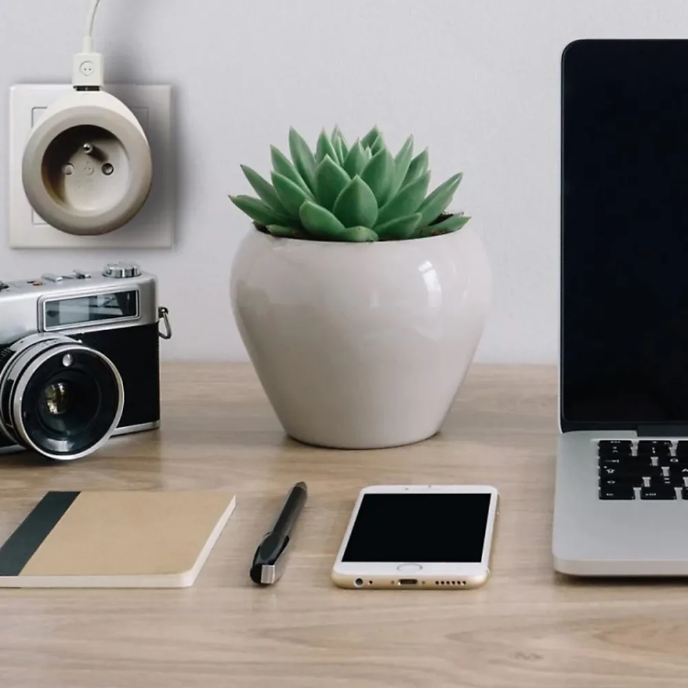 Watt & Co Chargeur prise 16A avec port USB Bewatt gris
