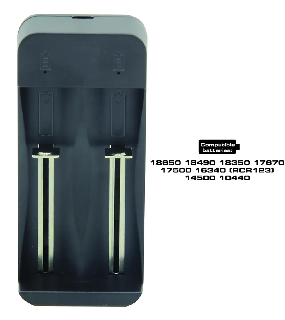 Velamp Chargeur rapide à 2 canaux pour batteries lithium-ion