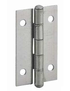 Thirard Charnière D'Ameublement-Charnière de porte de meuble / porte légère, 40x25mm, acier -