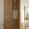 QCL Charnière inox Diall 70 x 40 mm vendue par 2