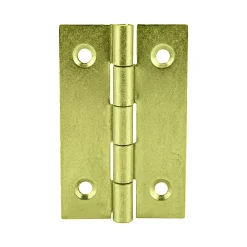 QCL 2 charnières acier laitonné Diall 40 x 25 mm